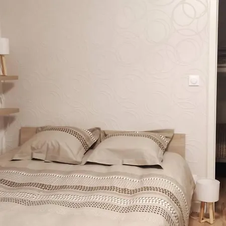 דירה Le Cygne, De Standing En Hyper-centre סירגומין