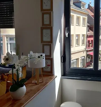 Le Cygne, De Standing En Hyper-centre *