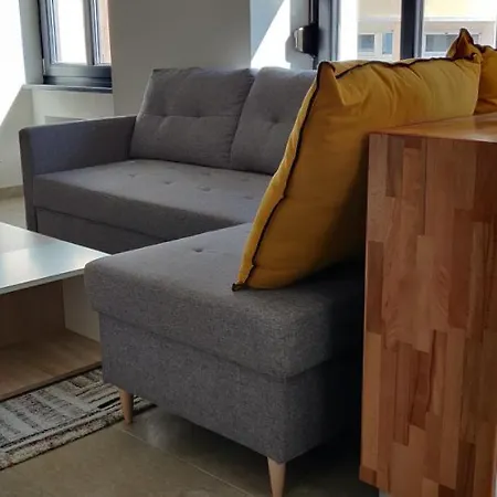 Le Cygne, De Standing En Hyper-centre Apartment *