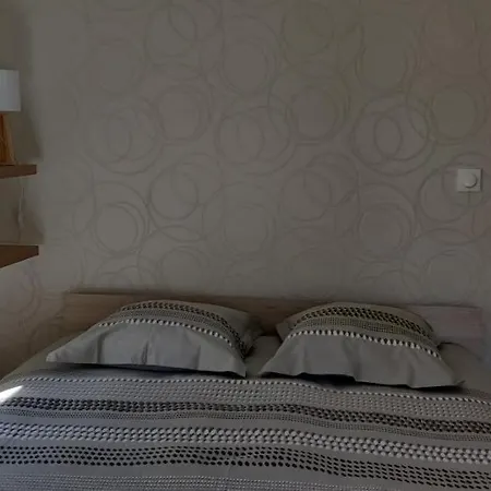 Le Cygne, De Standing En Hyper-centre Apartment Sarreguemines