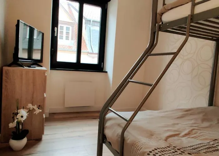 Apartament Le Cygne, De Standing En Hyper-centre Sarreguemines