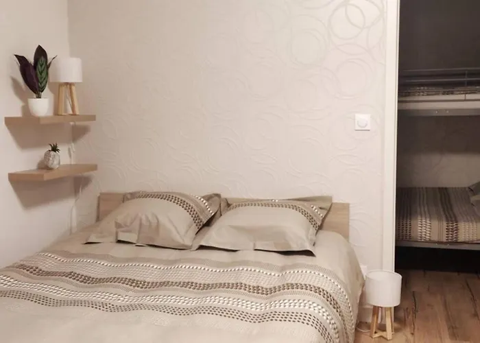 Apartament Le Cygne, De Standing En Hyper-centre Sarreguemines