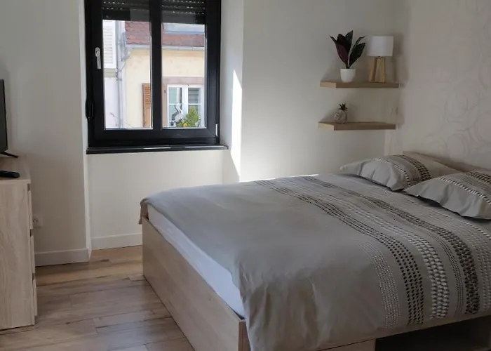 Le Cygne, De Standing En Hyper-centre