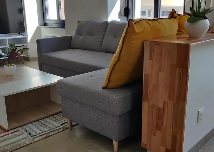 Le Cygne, De Standing En Hyper-centre Apartament *