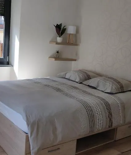 Le Cygne, De Standing En Hyper-centre